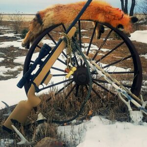 A red fox laying on top of a wheel.