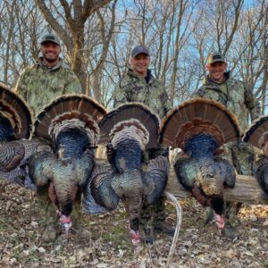 A group of men standing next to turkeys.